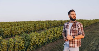 Bearded agronomist holding laptop inspecting currant shrubs at sunset, using modern technologies in agriculture