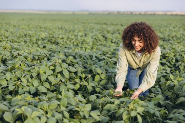 Female agronomist examining crops in a soybean field, ensuring healthy growth and sustainable agriculture practices