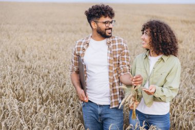 Two agronomists are walking through a wheat field, examining the crop and discussing their observations
