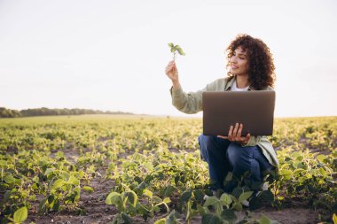 Female agronomist analyzing crops in a soybean field using a laptop, implementing innovative technologies in agriculture for efficient crop management
