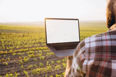 Agronomist holding a laptop with a blank screen while standing in a cornfield at sunset, surrounded by rows of healthy crops