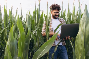 Agronomist using a laptop while standing in a cornfield, inspecting crops with a smile, showcasing expertise in agricultural practices