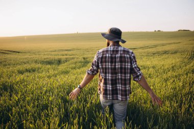 Agronomist wearing a hat, walking through a wheat field at sunset, gently touching the ears of grain with his hands, enjoying the tranquility