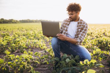Young agronomist analyzing crops with laptop, implementing modern technologies in agriculture for improved efficiency and sustainability