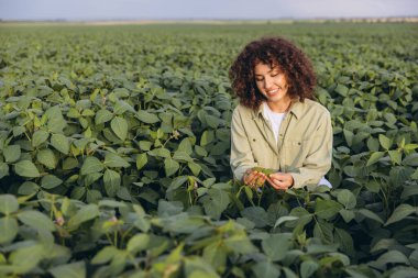 Smiling young agronomist examining soybean crops in a lush green field, assessing growth and ensuring healthy harvests for sustainable agriculture