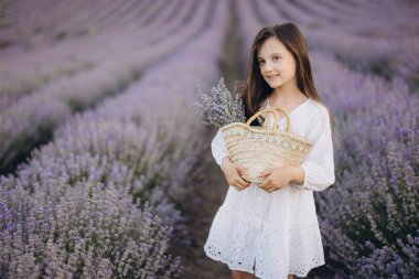 Girl wearing white dress holding wicker basket with lavender bouquet, standing in beautiful blooming lavender field