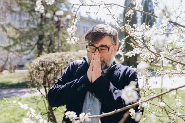 Bearded senior man suffering from seasonal pollen allergy, holding his nose and covering his mouth with his hands near blooming trees in springtime