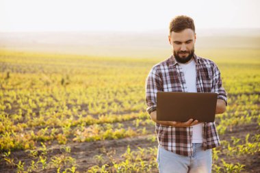 Bearded agronomist working on a laptop while standing in a cultivated corn field during the enchanting golden hour of the evening