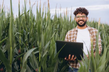 Young agronomist analyzing data on a laptop while working in a vibrant corn field, contributing to sustainable agriculture and crop growth