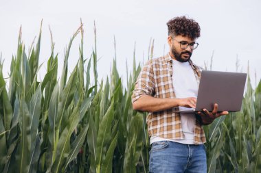 Agronomist analyzing corn plantation using laptop in cultivated field, modern agriculture and technology concept