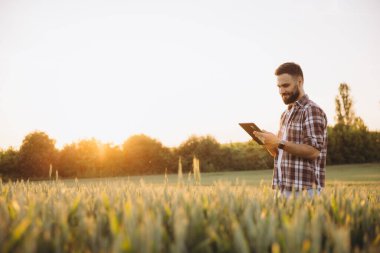Bearded farmer using a digital tablet while inspecting wheat fields during a picturesque sunset in the countryside