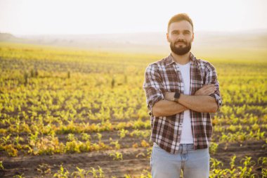 Confident farmer posing with crossed arms in a lush corn field, basking in the warm glow of sunset, showcasing rural life and agriculture