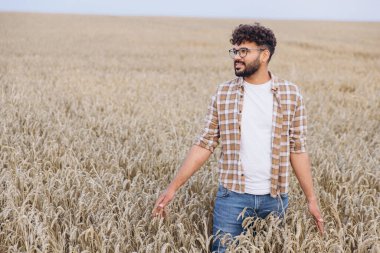 Young agronomist walking through a golden wheat field, gently touching the ripe ears of grain while inspecting the thriving crop