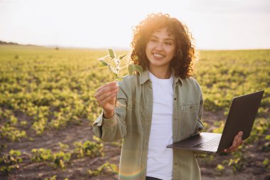 Smiling female agronomist examining soybean plant and holding laptop, standing in cultivated field at sunset