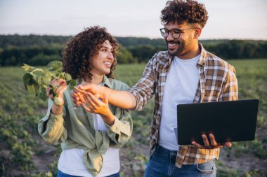 Two smiling agronomists are examining a soybean plant in a cultivated field, holding a laptop and discussing