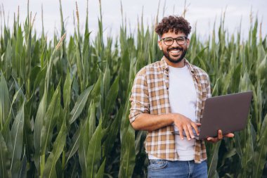 Agronomist analyzing corn plantation while using a laptop, highlighting the integration of modern technology in sustainable agriculture practices