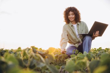 Young female agronomist using laptop while inspecting crops in a soybean field at sunset, implementing modern technology in agriculture