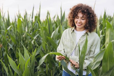 Smiling female farmer inspecting corn crops for growth and quality, ensuring healthy harvest in agricultural landscape
