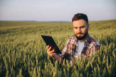 Bearded agronomist using tablet in a wheat field, implementing modern technology for smart agriculture and sustainable farming practices