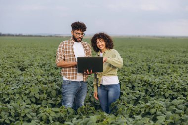 Interracial team of agronomists using a laptop in a soybean field, discussing and analyzing data for efficient crop management