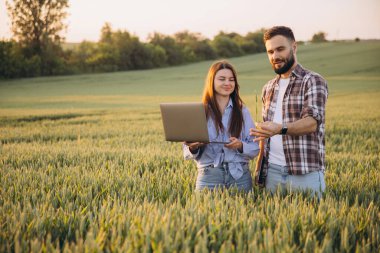 Two agronomists examining wheat crops in a field, utilizing a laptop and taking detailed notes on growth and quality control