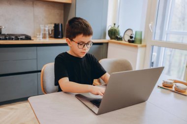 Boy concentrating on a laptop, engaging in e learning or entertainment at home, surrounded by a cozy and bright kitchen environment