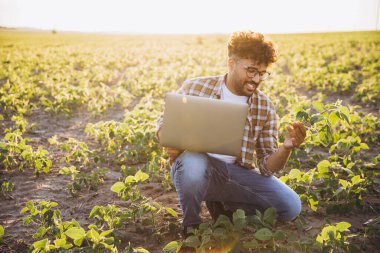 Agronomist crouching in soybean field, holding laptop and examining plant, utilizing technology for agricultural analysis