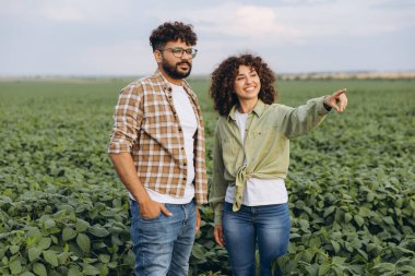 Interracial team of agronomists inspecting soybean plant growth in a cultivated field, collaborating on sustainable farming practices