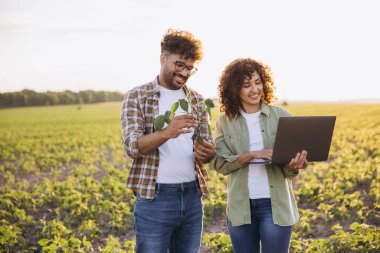 Two agronomists are smiling while examining a soybean plant and using a laptop in a cultivated field, performing quality control of the crops