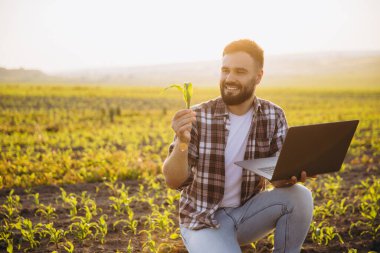 Bearded agronomist holding a corn sprout and a laptop, smiling while inspecting crops in a field at sunset