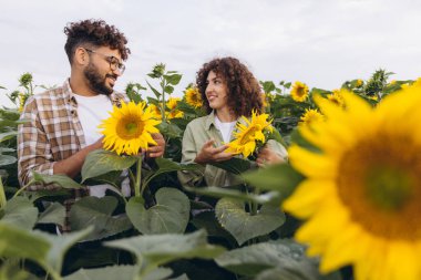 Two agronomists working together in a vibrant sunflower field, examining plants closely and sharing smiles under the sunny sky
