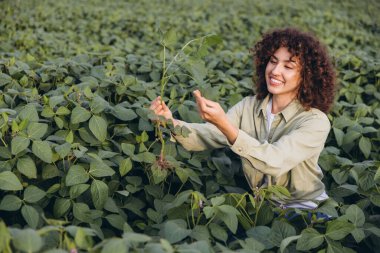 Smiling agronomist holding soybean plant and inspecting leaves in cultivated field, ensuring healthy growth and sustainable agriculture
