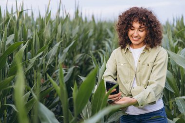 Smiling agronomist using a smartphone in a corn field, applying innovative agricultural techniques for sustainable crop growth and management