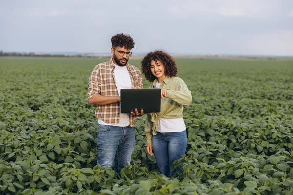 Interracial team of agronomists using a laptop in a soybean field, discussing and analyzing data for efficient crop management