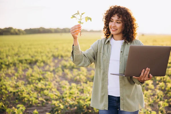 Female agronomist examining crops and holding laptop for precision agriculture in a soybean field