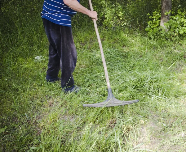 çiftçi bir bahçe için pets baharda komisyon ot toplar