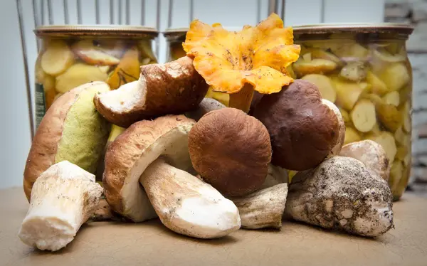 Taze mantar bej renkli arka plan üzerinde Marine içinde kavanoz birlikte farklı türleri