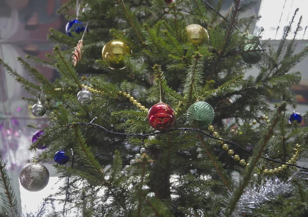 Yeni yıl doğal çam fidanı birçok çok renkli oyuncaklar, dekorasyon