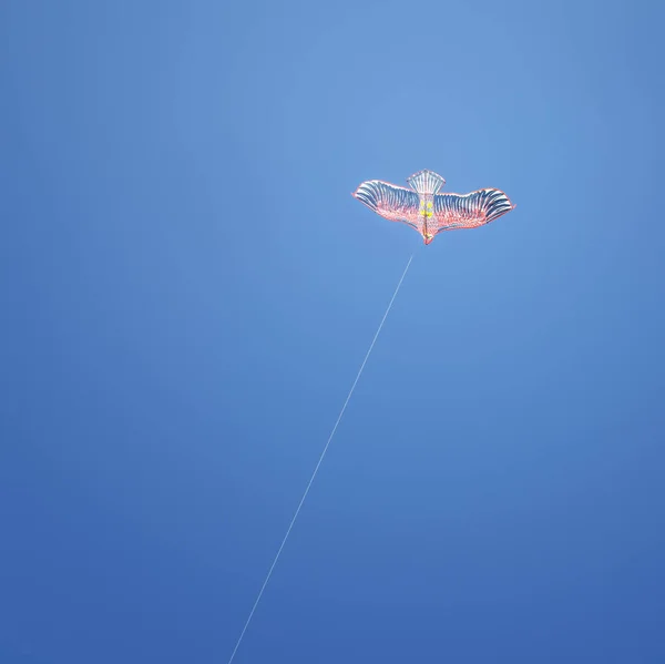 夏の青い空に色とりどりの凧 — ストック写真