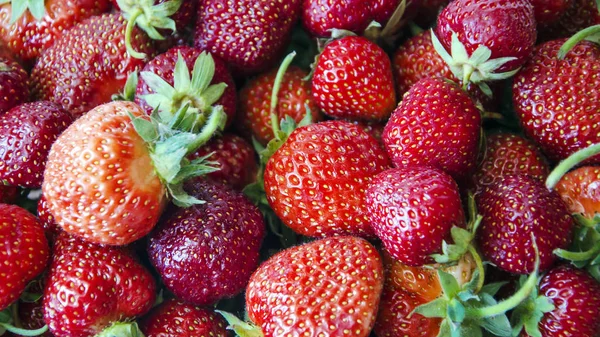 Çilekli. Taze organik böğürtlen makrosu. Meyve arkaplanı