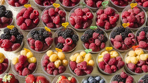 gözlük farklı lezzetli çilek karışımı