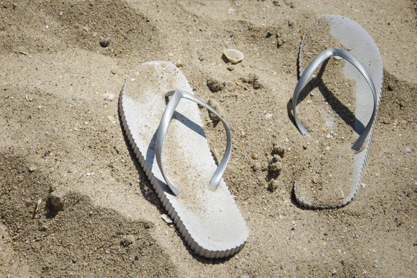 gray slates on the sand of the beach