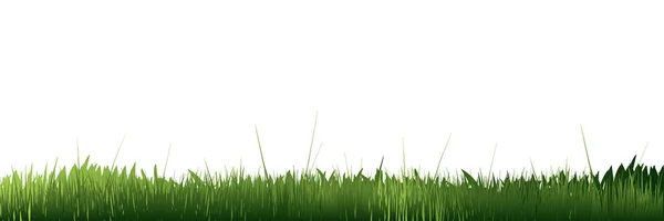 Fronteira Relva Verde Template Grass Fundo Branco Eps10 — Vetor de Stock