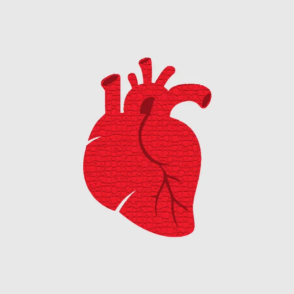 Abbildung Des Roten Menschlichen Herzens Neuen Trendigen Flachen Stil Auf — Stockvektor