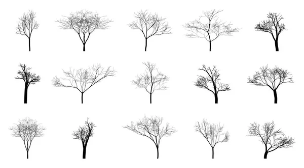 在一个空的背景上的黑色光秃秃的树 Eps10 — 图库矢量图片