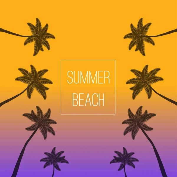 Καλοκαίρι Palm beach. Παλάμες φόντο. Φοίνικες με κείμενο καλοκαίρι Palm Beach σε πολύχρωμο φόντο — Διανυσματικό Αρχείο