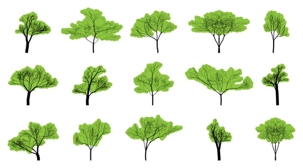 Σύνολο πράσινων δέντρων σε κενό φόντο — Διανυσματικό Αρχείο