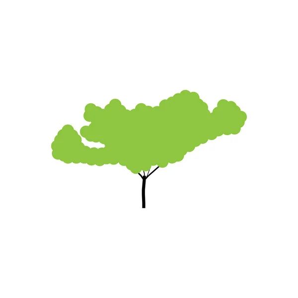 树。绿色树在平面设计。在白色背景上隔离的树矢量图标 — 图库矢量图片