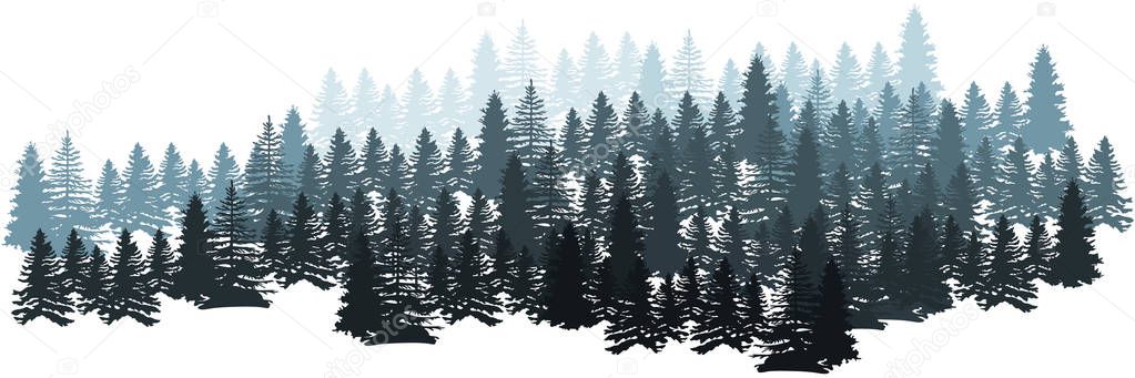 Forest Silhouette Landscape. Coniferous Forest Panorama. Winter Christmas Forest of fir trees silhouette. Layered trees background. Vector