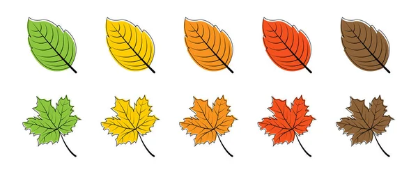 Folhas Folha Deixa Cores Diferentes Isoladas Ícones Vetoriais Folhas Ilustração —  Vetores de Stock